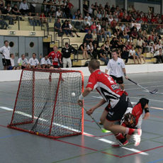 Floorball goal nets